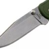 Buck 0112ODS2 blade